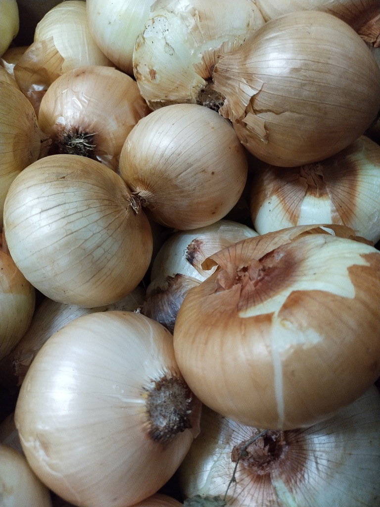 cebola babosa eco vyv kg