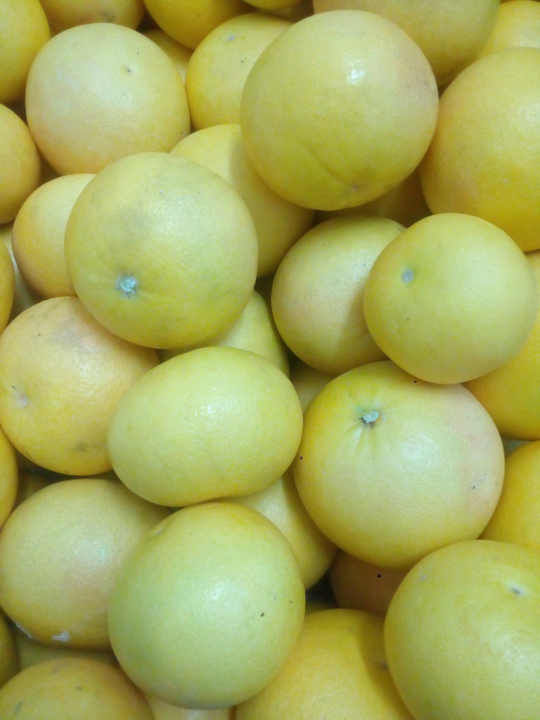 pomelo eco gum Kg