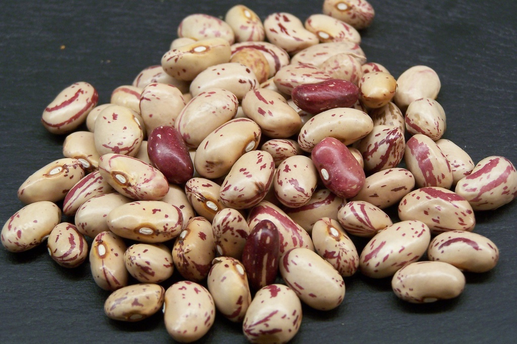 CAPARRÓN/ ALUBIA seca pinta