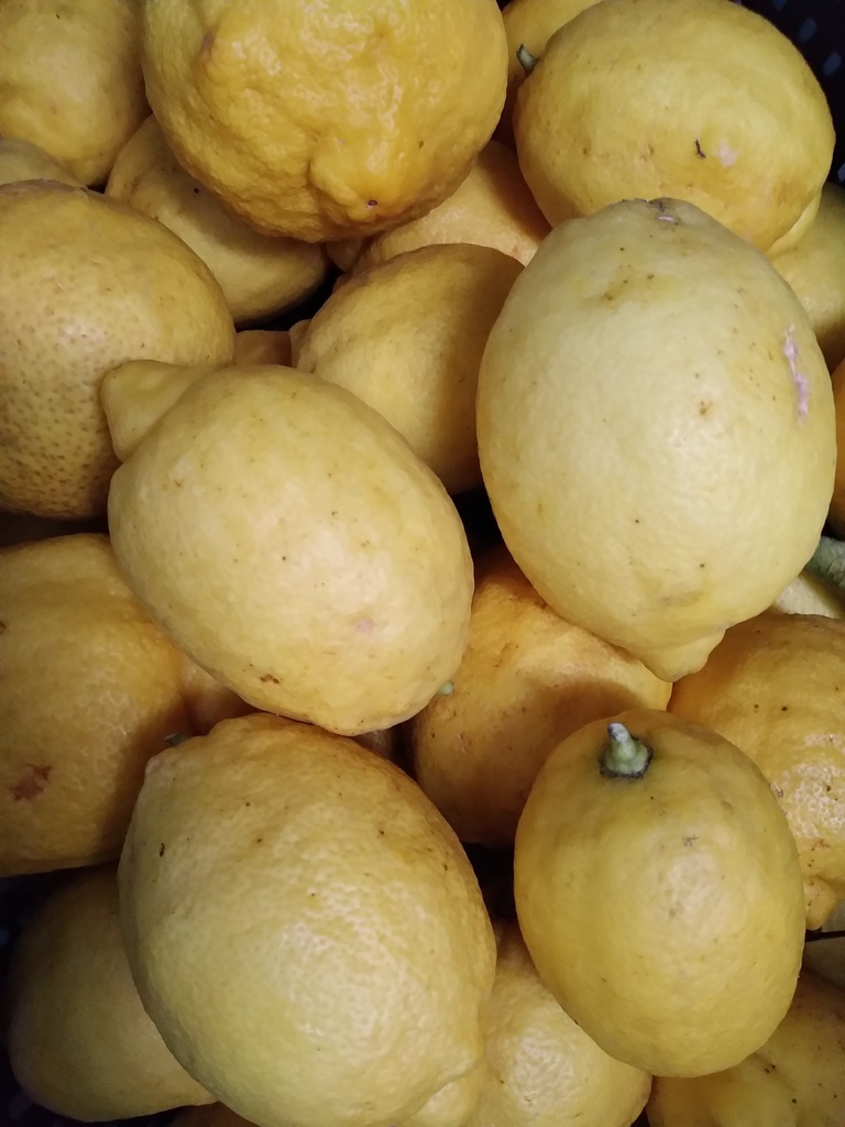 limón eco gut kg