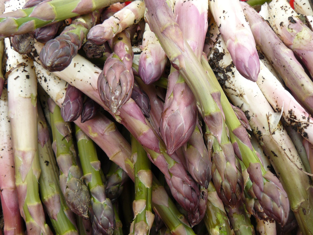 esparrago eco jor kg