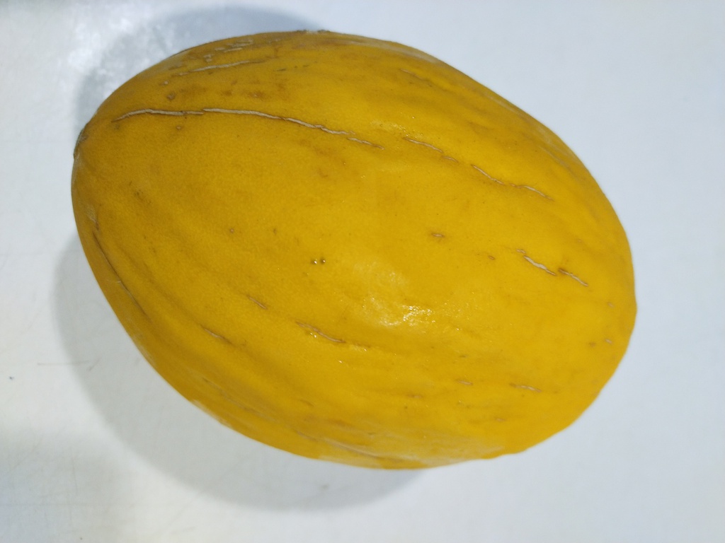 melón eco vyv kg