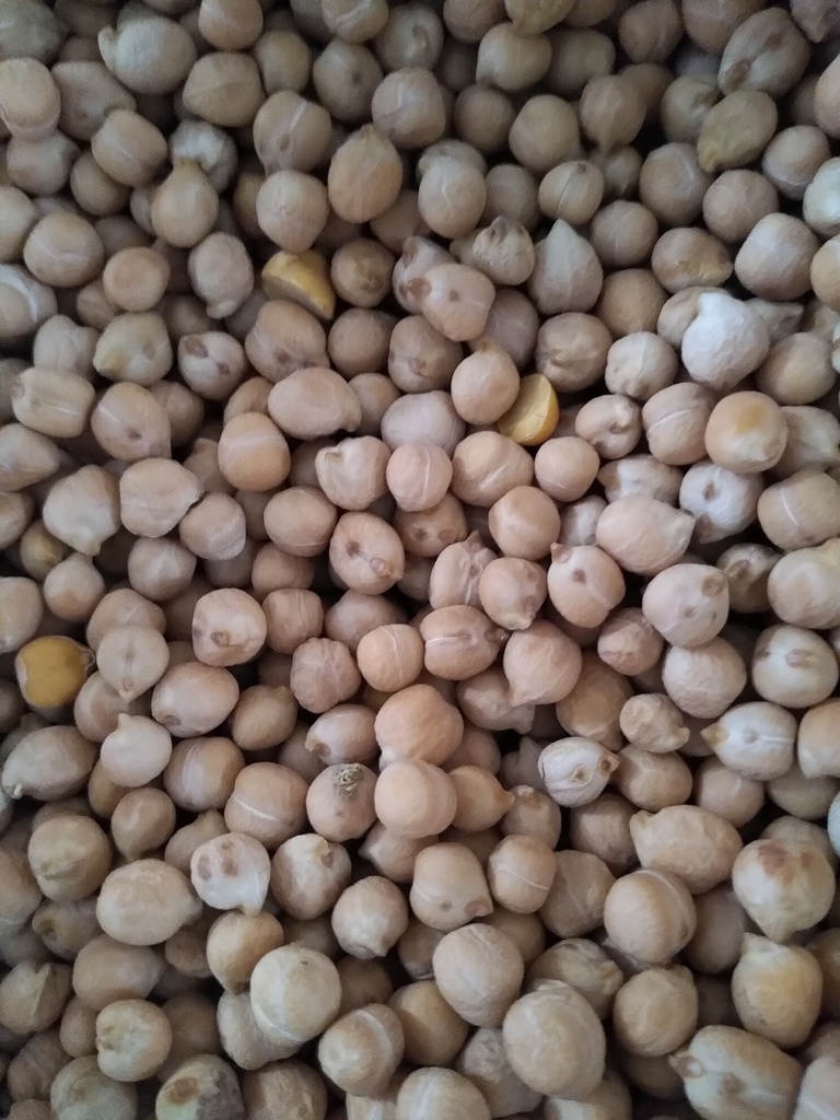 garbanzo eco cer kg