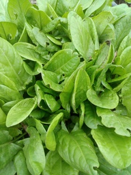 [02005002] aceda eco cif Kg