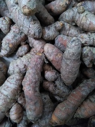 [03005224] CÚRCUMA