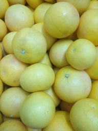 [05002126] pomelo eco tra Kg