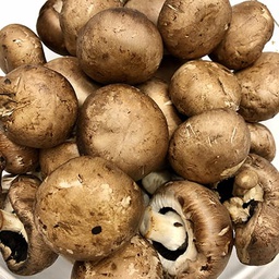 [08705249] champiñon portobello eco vyv kg