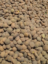 [16005194] lentella par eco tra