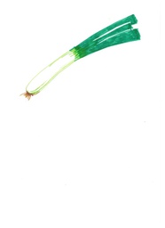 [0300010] porro eco gum kg