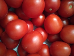 [01005151] TOMATE pera