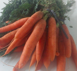 [0300037] cenoira eco vyv kg