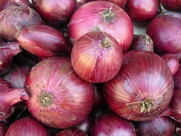 [0300176] cebola morada eco kg