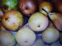 [0500121] pera conferencia eco tah kg