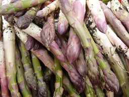 [20001055] ESPÁRRAGO VERDE