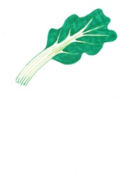 [02004163] acelga eco gum kg