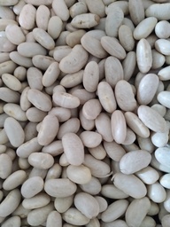 [1610188] ALUBIA BLANCA riñón