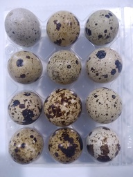 [12005256] ovos paspallás 12 ud